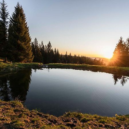 Waldhotel Fehrenbach Hinterzarten Luaran gambar